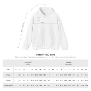 MADE IN CHICAGO HOODIE
