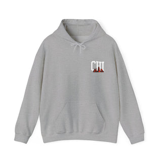 23 CHI