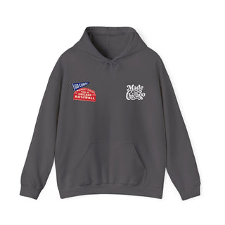 CUBS FAN HOODIE
