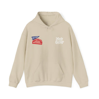 CUBS FAN HOODIE