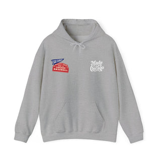 CUBS FAN HOODIE